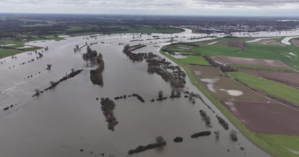 荷兰的洪水和高水位 来自阿尔卑斯山和大雨的过量水正在内陆河流中泛滥 — 图库视频影像