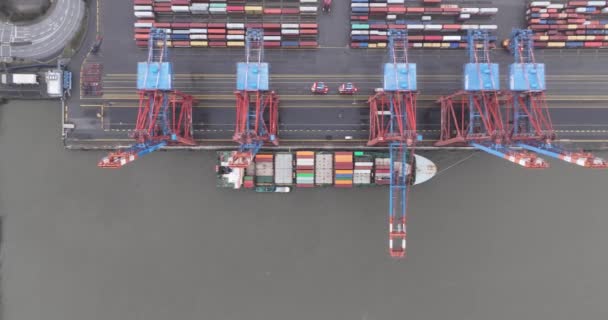 Hamburg Germany December 30Th 2023 Container Terminal Burchardkai Port Hamburg — Vídeos de Stock