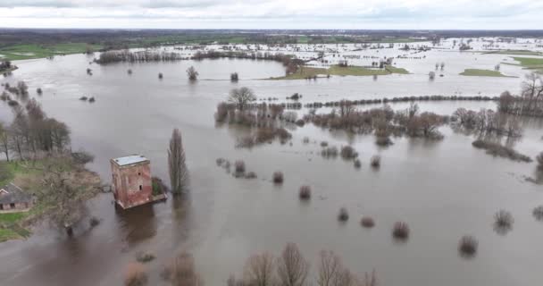 荷兰的洪水和高水位 来自阿尔卑斯山和大雨的过量水正在内陆河流中泛滥 — 图库视频影像