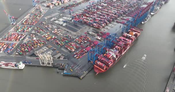 함부르크 2023 함부르크 항구의 컨테이너 터미널 Burchardkai 세계의 대규모 — 비디오