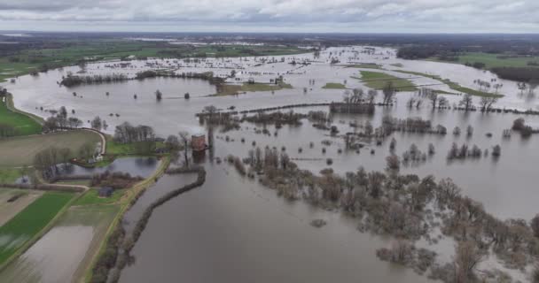 Наводнение Высокая Вода Нидерландах Чрезмерное Количество Воды Альпах Обильные Дожди — стоковое видео