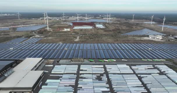 Lommel Limburg België Januari 2024 Hernieuwbare Energie Door Zonne Energie — Stockvideo