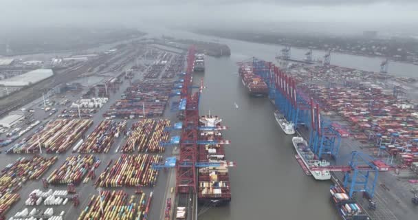Hamburg Germany December 30Th 2023 Container Terminal Burchardkai Port Hamburg — Vídeo de stock