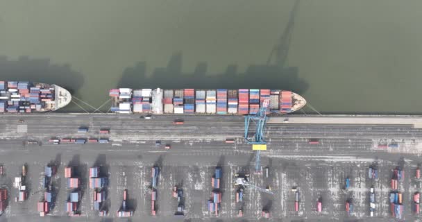 空中俯瞰鸟瞰 在比利时安特卫普港 一家提供物流服务的公司 装卸一般货物 集装箱 汽车等的港口码头 — 图库视频影像