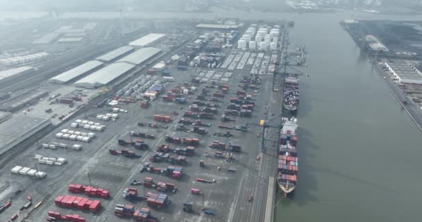 Port Antwerpen Sanayi Toptan Dağıtım Nakliye Şirketlerine Lojistik Yarı Sanayi — Stok video