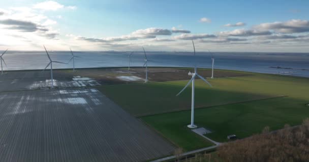 オランダのアルミア フルボランド 2024年1月7日 ウィンドファーム ジャパップ ローデンブルクは アリミア パンパウスにあるN701に沿った保険会社Asrが所有する風力発電所です — ストック動画