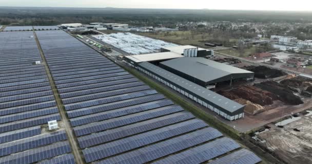 Energia Verde Solar Parque Industrial Bélgica — Vídeo de Stock