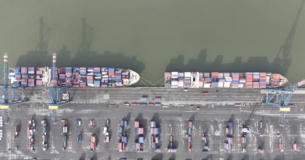 ワースランドヘイブンの空中ドローンビュー ワーズランドヘイブンは シェルトの左岸に位置するアントワープ港の一部です — ストック動画