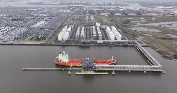 Antwerpen Provinz Antwerpen Belgien März 2024 Vopak Terminal Linkes Ufer — Stockvideo