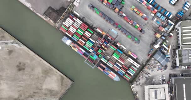 Terminal Contentores Utrecht Ctu Acção Operações Portuárias Carga Descarga Navio — Vídeo de Stock