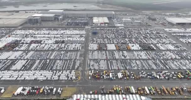 Euroterminal Anvers Est Grand Terminal Polyvalent Port Anvers Transport Voitures — Video