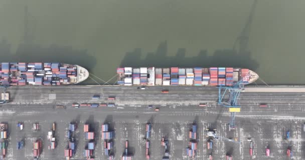 Containerschiffe Die Hafen Von Antwerpen Belgien Beladen Werden Logistik Lieferkette — Stockvideo