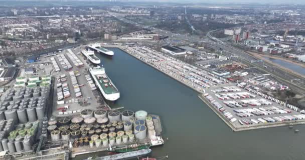 Ρότερνταμ Zuid Holland Ολλανδία Μαρτίου 2024 Πάροχος Υπηρεσιών Logistics Dfds — Αρχείο Βίντεο