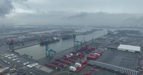 Antwerp Container Terminal K730 Deepsea Terminals Antwerp Multimodal Access Road — Stock Video