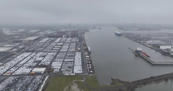 Antwerpen Euroterminal Legnagyobb Többcélú Terminál Antwerpen Kikötőjében Autószállítás Mobilitási Ipar — Stock videók