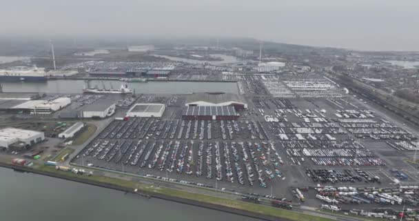 Zeebrugge Provincia Flandes Occidental Bélgica Marzo 2024 Puertos Comerciales Industriales — Vídeo de stock