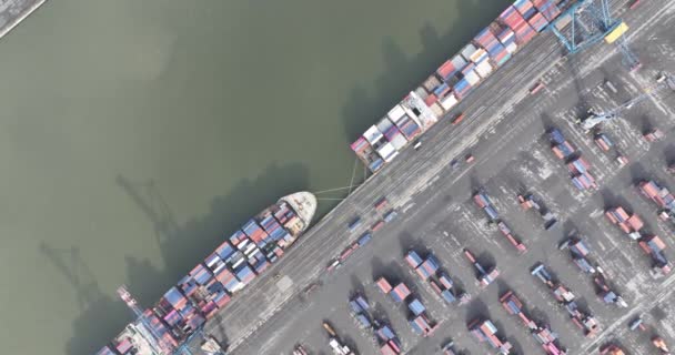 Cima Para Baixo Transporte Contentores Porto Antuérpia Bélgica Doca Com — Vídeo de Stock