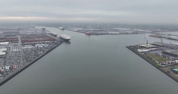 Zeebrugge Provincie Západní Flandry Belgie Března 2024 Obchodní Průmyslové Překládkové — Stock video