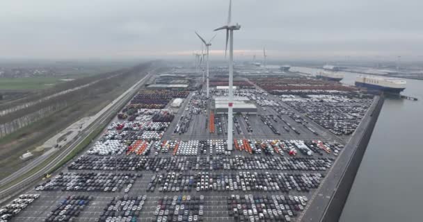 ウェストフランダース県ゼーブッゲ ベルギー 3月3日 2024年 貨物輸送ターミナル ゼブリッジ港の海上車両の物流 — ストック動画