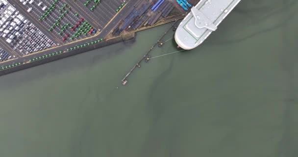 Denizaşırı Deniz Taşımacılığı Araç Ekipman Terminali Taşımacılığı Araba Ithalatı Ihracatı — Stok video