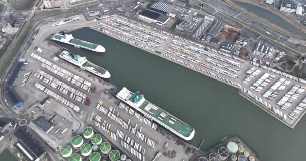 Березня 2024 Термінал Vlaardingendeep Морський Термінал Порту Роттердам Спеціалізується Зберіганні — стокове відео