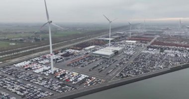 En büyük RoRo terminali ve seyir halindeki araçların denizaşırı taşımacılığı. Yuvarlan, yuvarlan. Zeebrugge Limanı, Belçika.