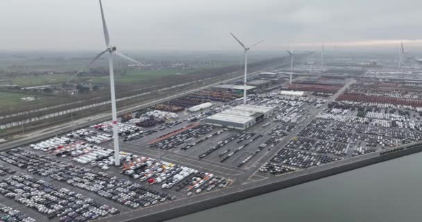 最大のRoroターミナルと海上車両の輸送 ロールオン ロールオフ ベルギーのゼブリッジ港 — ストック動画