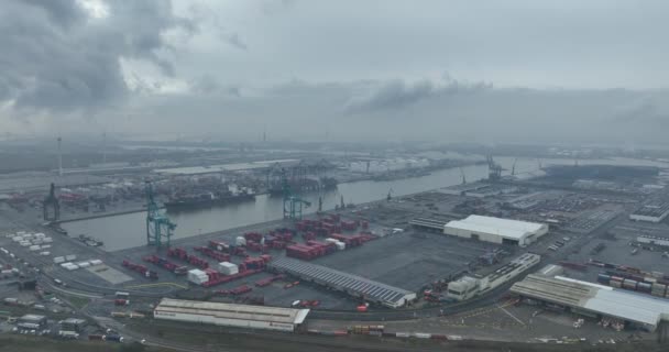 Antwerpen Provincie Antwerpen België Maart 2024 Katoen Natie Diepzeeterminal Haven — Stockvideo