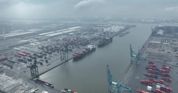 벨기에 앤트워프 앤트워프 2024 앤트워프 항구의 카토엔 터미널 — 비디오