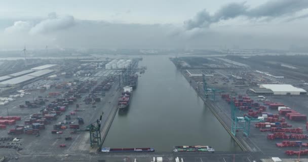 Amberes Provincia Amberes Bélgica Marzo 2024 Katoen Natie Deepsea Terminal — Vídeo de stock