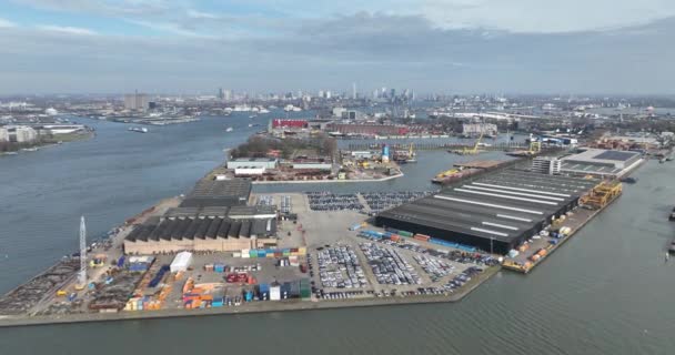 Порт Роттердама Найбільший Комерційний Промисловий Порт Нідерландів — стокове відео