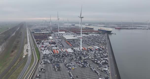 ターミナルのロールで最大のロール 海上に車両を転がす輸送 ベルギーのゼブリッジ港 空中ドローンビュー — ストック動画