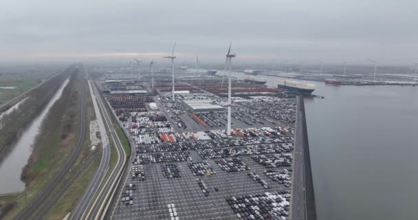 바다에 차량의 Roro 그리고 벨기에 Zeebrugge — 비디오