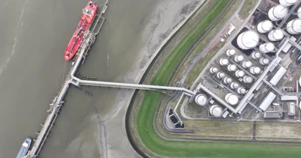 Vistas Aéreas Drones Tanques Almacenamiento Terminal Industrial Situada Oeste Scheldt — Vídeos de Stock