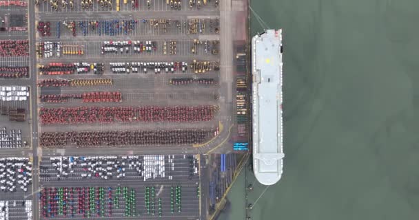 ベルギーのゼブリッジ港のロールオンロールオフ端子の空中ドローンビュー — ストック動画