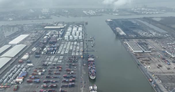 Antwerpen Provincie Antwerpen België Maart 2024 Katoen Natie Havenactiviteiten Logistiek — Stockvideo