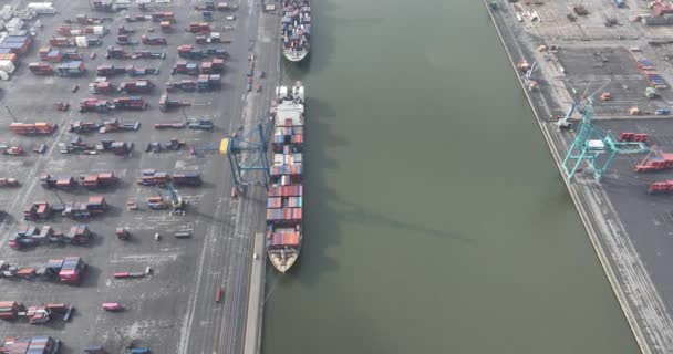 Antwerpen Antwerpen Tartomány Belgium 2024 Március Katoen Natie Hajózási Terminál — Stock videók