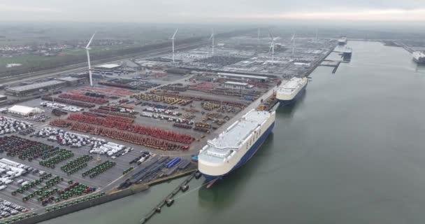 Zeebrugge Provinsen Västflandern Belgien Den Mars 2024 Biltransportterminalen Logistik För — Stockvideo