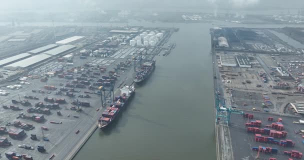 Antwerpia Prowincja Antwerpia Belgia Marca 2024 Katoen Natie Terminal Morski — Wideo stockowe