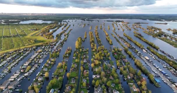 荷兰的小岛和水上运动区四周环绕着美丽的风景 Vinkeveense Plassen黄金时段的无人驾驶飞机视景 — 图库视频影像