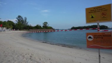 Singapur sahilinde petrol sızıntısı. Çevresel sorun, toksik kirlilik. Temizlik bölgesi.