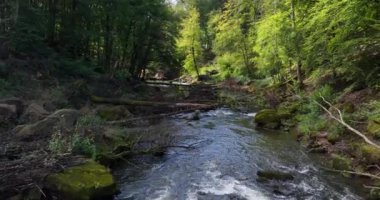 Güzel yeşil doğada hızlı akan dağ nehri. Hava görünümü.