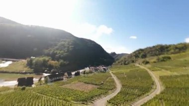 Ahr Vadisi, Almanya, FPV hava aracı videosu. Alman şaraplarının üretimi için üzümler.