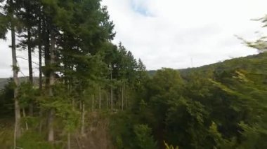Geierlay, asma köprü, Alman Eifel 'inde yürüyen köprü..