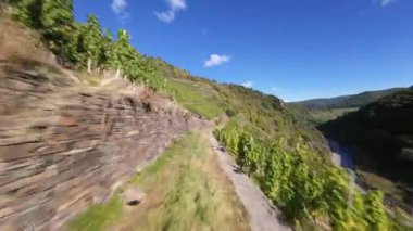 Almanya 'daki Ar Vadisi' ndeki üzüm bağları. Bir FPV insansız hava aracı videosu.