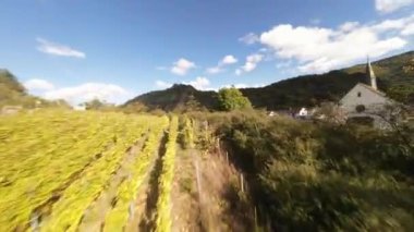 Almanya 'daki Ar Vadisi' ndeki üzüm bağları. Bir FPV insansız hava aracı videosu.