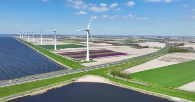 Hollanda 'daki güneşli baharda, su ve lale tarlalarıyla çevrili rüzgar türbinlerinin hava aracı videosu..