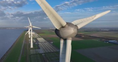Hollanda 'da kıyı rüzgârı türbinleri. Sürdürülebilir enerji üretimi. Hava aracı videosu