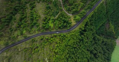 Doğaya ve dağlara rağmen asfalt yolu sürmek. Çevrilmiş yeşil yol bükülmüş ulaşım. Havadan aşağıya.