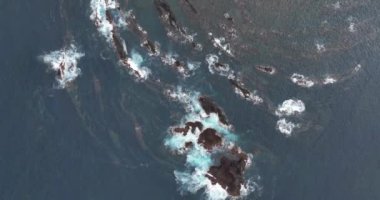 Atlantik Okyanusu 'ndaki sahil kayalıkları. Denizde dalgalar kopuyor. Sert su. Havadan yukarıdan aşağıya görünüm.